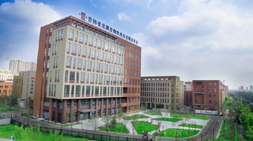 北科建長春北湖科技園 北湖十年 創(chuàng)造美好