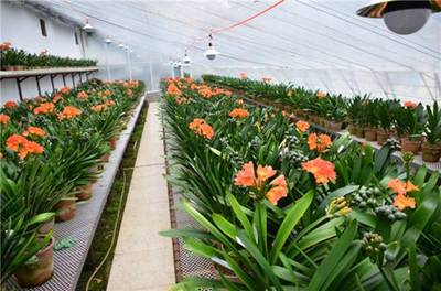 吉林省長(zhǎng)春市:全國(guó)推進(jìn)農(nóng)業(yè)現(xiàn)代化優(yōu)秀城市案例