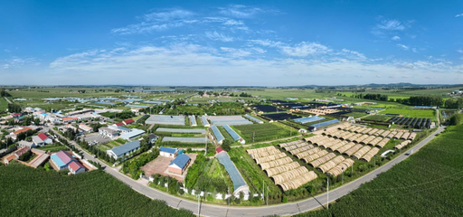 長(zhǎng)春市現(xiàn)代菌物產(chǎn)業(yè)科技成果轉(zhuǎn)化示范基地揭牌，首屆中國(guó)（長(zhǎng)春）靈芝孢子粉采收節(jié)盛大啟幕